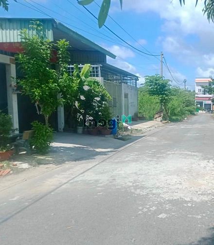 Hình ảnh Cần bán lô đất thổ cư 125m2 380tr sổ riêng ngay chợ Đình- Mỹ Hạnh Bắc