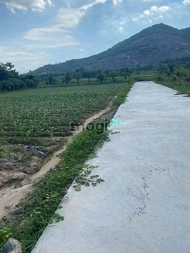 Hình ảnh Bán nhanh siêu phẩm Diên Sơn 3 mặt tiền