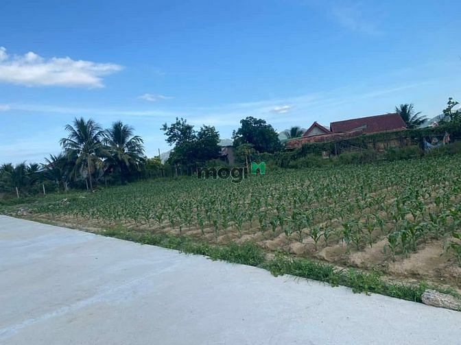 Hình ảnh Bán nhanh siêu phẩm Diên Sơn 3 mặt tiền