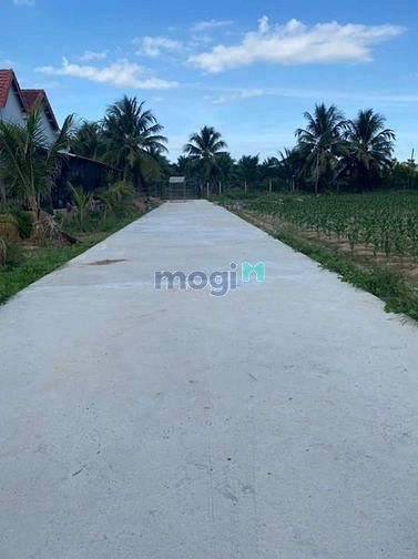 Hình ảnh Bán nhanh siêu phẩm Diên Sơn 3 mặt tiền