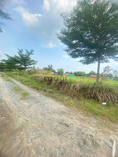 Hình ảnh Siêu Phẩm Hót PhỐ ChỢ GÒ ĐEN DT 100 m2 Giá yêu thương