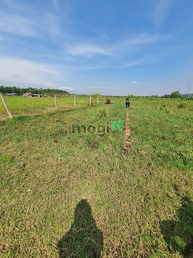 Hình ảnh Bán đất lúa, xã Vĩnh Lộc B, H. Bình Chánh, 500tr