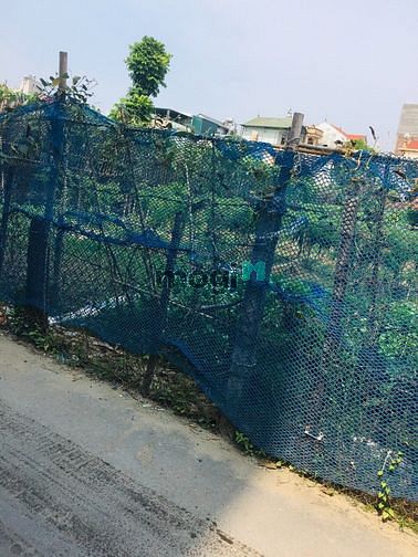 Hình ảnh Bán đất phú thượng tây hồ, hà nội  65m,mt 9m giá chỉ 155tr/1m