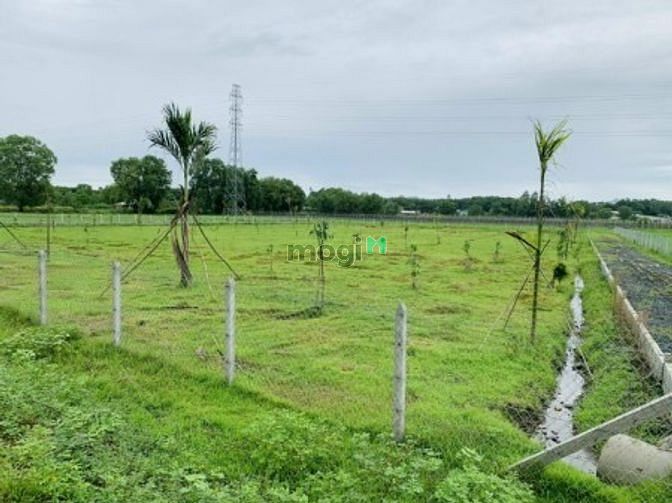 Hình ảnh Gấp bán đất vườn 1000m2 - Ngang 23 - Gần MT - Củ Chi
