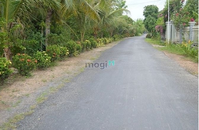 Hình ảnh Đất ở khu dân cư hiện hữu, DT 1069m2, Chỉ 1.5 tỷ, Trung tâm Cẩm Mỹ