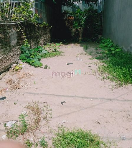 Hình ảnh Chuyển Nhượng 42m  đất thổ cư Nguyên Xá nhỉnh 2 tỷ