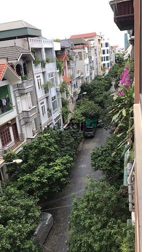 Hình ảnh Cho thuê nhà phân lô 50 m2 x 7 Tầng, Thang máy, sàn thông đẹp