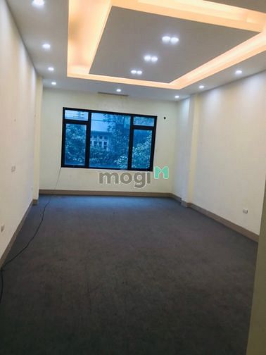 Hình ảnh Cho thuê nhà phân lô 50 m2 x 7 Tầng, Thang máy, sàn thông đẹp