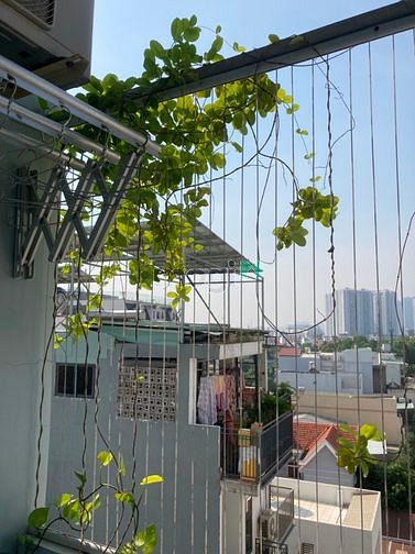 Hình ảnh ☘️ CHDV Nội khu sang trọng Thảo Điền ☘️