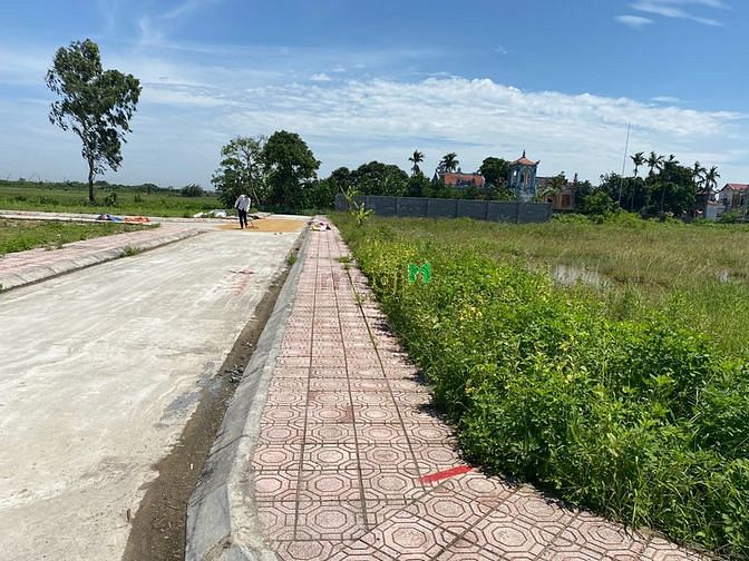 Hình ảnh cần bán đất đông hưng thái bình