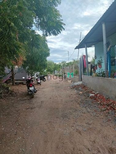Hình ảnh Kẹt tiền cần bán nhanh lô đất biển Ở Phú Thọ Phường Mỹ Đông