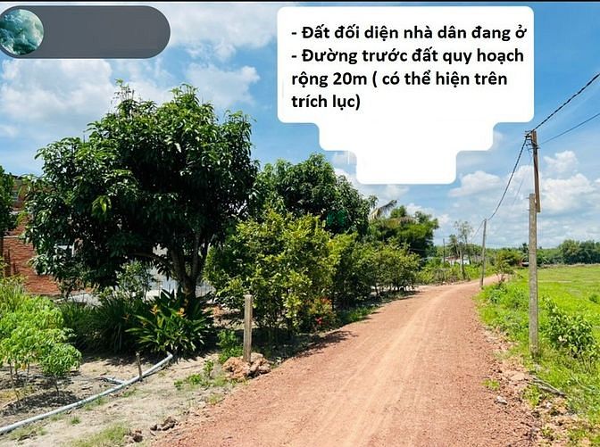 Hình ảnh Dtich: 20x50m 48tr/m ngang đối diện nhà dân
