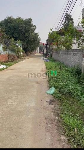 Hình ảnh Chính chủ cần bán 370m2 gần KCN Phú Cát chỉ nhỉnh 6 tỷ xíu xíu