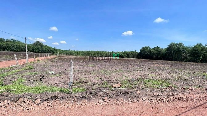 Hình ảnh Dtich: 20x50m 48tr/m ngang đối diện nhà dân