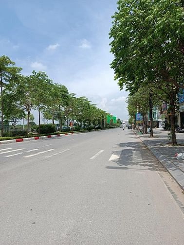 Hình ảnh Đất khu quân đội A38 Tư Đình diện tích 63m2 giá 5,3 tỷ