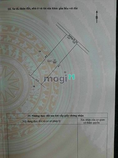 Hình ảnh Mảnh đất vườn vuông đẹp, đang trồng mít Thái tại Thới Long - Ô Môn