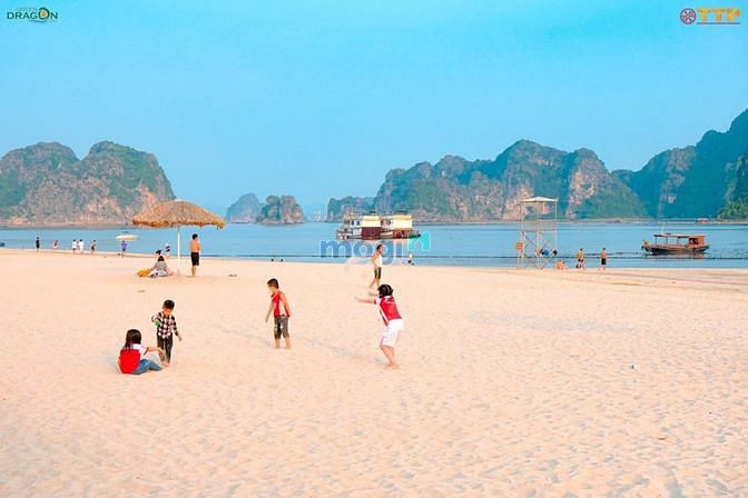 Hình ảnh Đất nền ven biển Green Dragon City Cẩm Phả Quảng Ninh