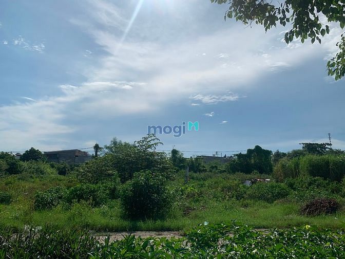 Hình ảnh Bán đất đẹp KDC Hoàng Hoa Thám - phường 13 - Tân Bình, 80m2,sổ hồng.