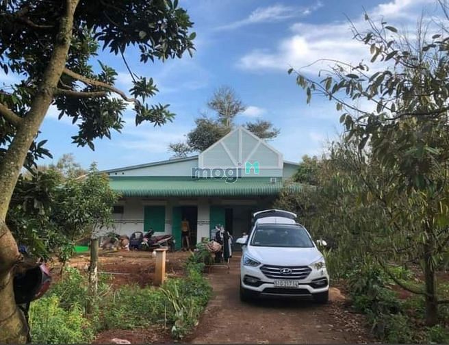 Hình ảnh Đất vườn Long Thành 1088m2, Chỉ 2.7 tỷ, Cách Thủ Đức 25km