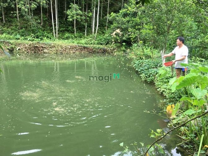 Hình ảnh Đất vườn Long Thành 1088m2, Chỉ 2.7 tỷ, Cách Thủ Đức 25km