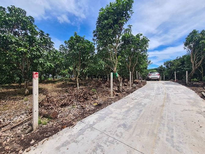 Hình ảnh Đất vườn Long Thành 1088m2, Chỉ 2.7 tỷ, Cách Thủ Đức 25km