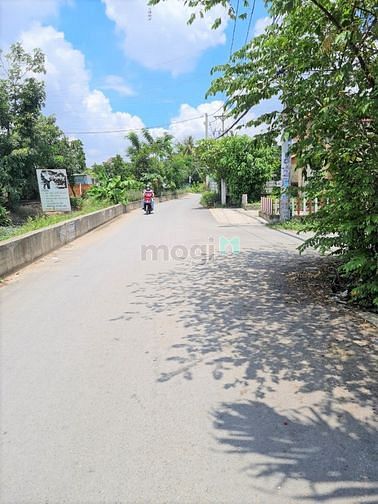 Hình ảnh Bán Nhà Cấp 4 Diện Tích 2.000m2 Đất Thổ An Phú Đông Quận 12