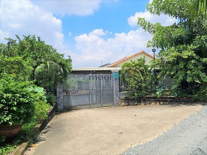 Hình ảnh Bán Nhà Cấp 4 Diện Tích 2.000m2 Đất Thổ An Phú Đông Quận 12