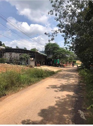 Hình ảnh Ông anh nhờ bán nhanh lô đất 250m2 giá 380tr