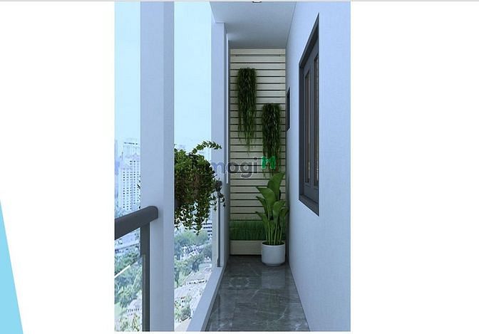 Hình ảnh Khai Trương CHDV Cao Cấp Mới 100% Thảo Điền Quận 2