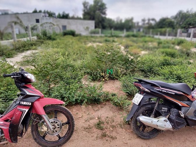 Hình ảnh 👉Hiếm.bán đất Biển Cam Bình,Lagi,Bình Thuận, giá rẻ bất ngờ