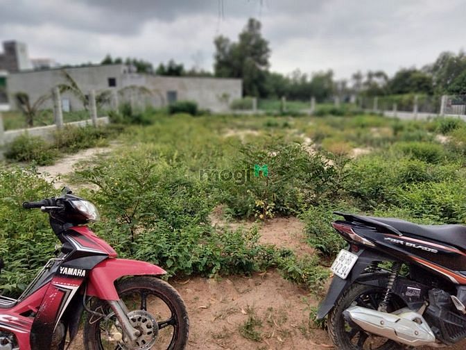 Hình ảnh 👉Hiếm.bán đất Biển Cam Bình,Lagi,Bình Thuận, giá rẻ bất ngờ