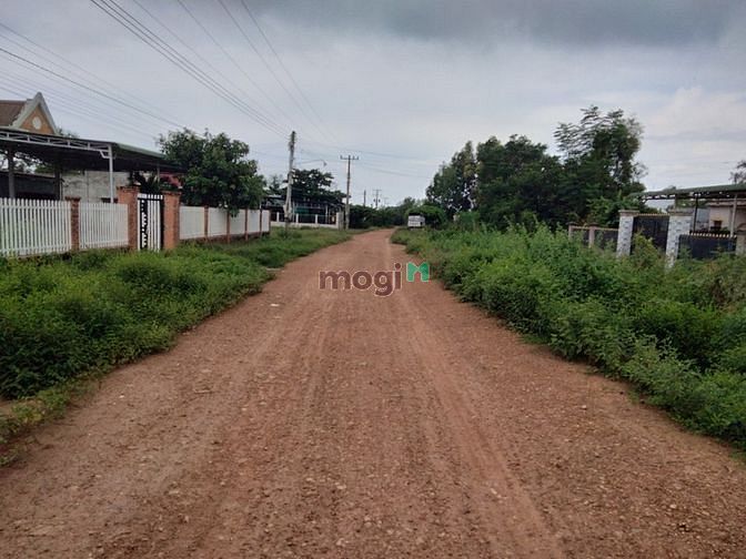 Hình ảnh 👉Hiếm.bán đất Biển Cam Bình,Lagi,Bình Thuận, giá rẻ bất ngờ
