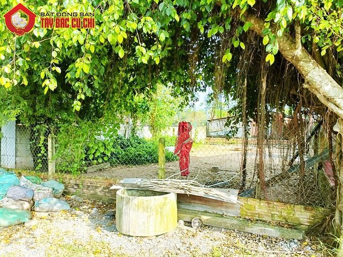 Hình ảnh Bán đất 1/ đường Trung Lập - 153m2 - 8.4x20 - 53m2 thổ cư - Củ Chi