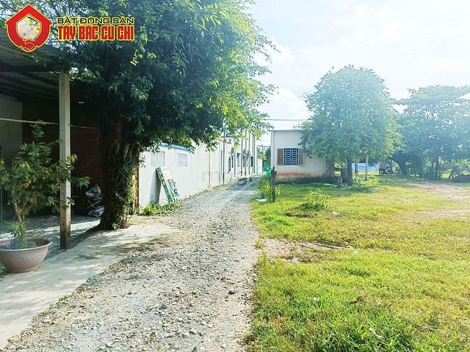 Hình ảnh Bán đất 1/ đường Trung Lập - 153m2 - 8.4x20 - 53m2 thổ cư - Củ Chi