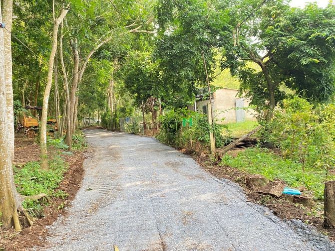 Hình ảnh Đất vườn Long Thành 1400m2, Chỉ 2.5tr/m2, Cách Thủ Đức chỉ 25km