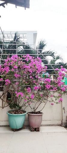Hình ảnh Nhà đẹp full nội thất Bình Thạnh - 5 phòng