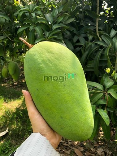 Hình ảnh Bán bớt 1,3 công đất để mở tiệm Spa cho con gái