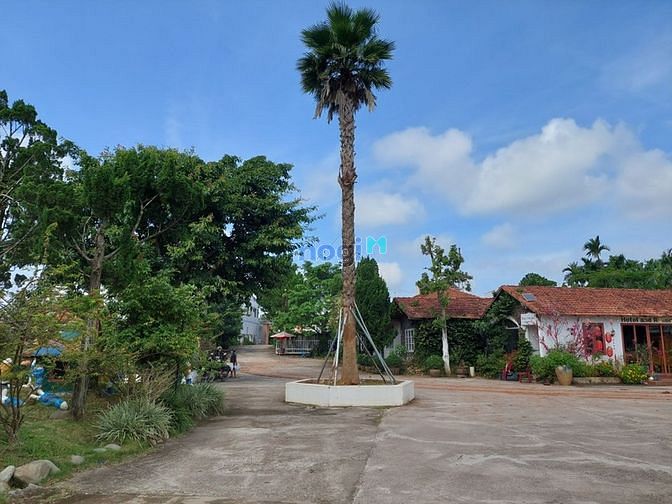 Hình ảnh View hồ bơi khu đất nền KDC Lâm Hà