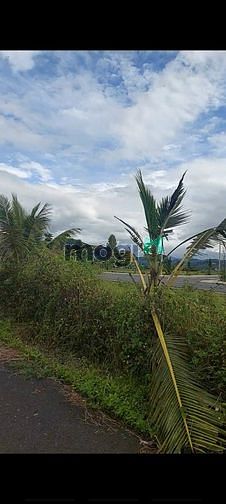 Hình ảnh Hot đất view KDC ngoại ô ven thành phố Đà Lạt