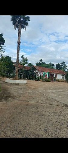 Hình ảnh Hot đất view KDC ngoại ô ven thành phố Đà Lạt