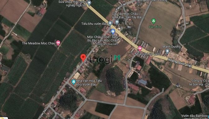 Hình ảnh Vườn Đào	