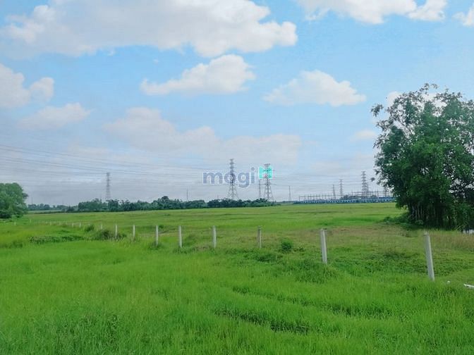 Hình ảnh Bán đất vườn thổ 500m2 - Củ Chi - Đường 12m