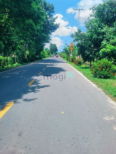 Hình ảnh Bán đất vườn thổ 500m2 - Củ Chi - Đường 12m