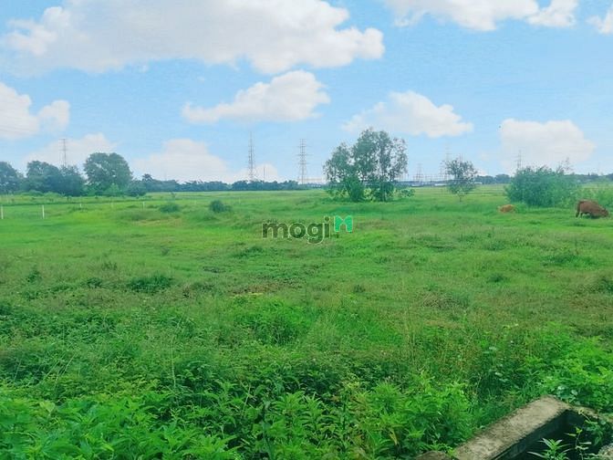 Hình ảnh Bán đất vườn thổ 500m2 - Củ Chi - Đường 12m