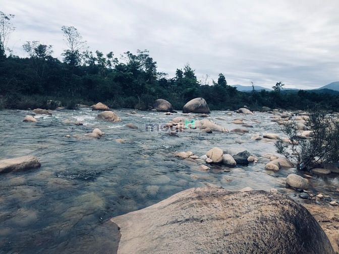 Hình ảnh Chính chủ bán Siêu Phẩm đất vườn Khánh Thượng, Khánh Vĩnh- Khánh Hoà