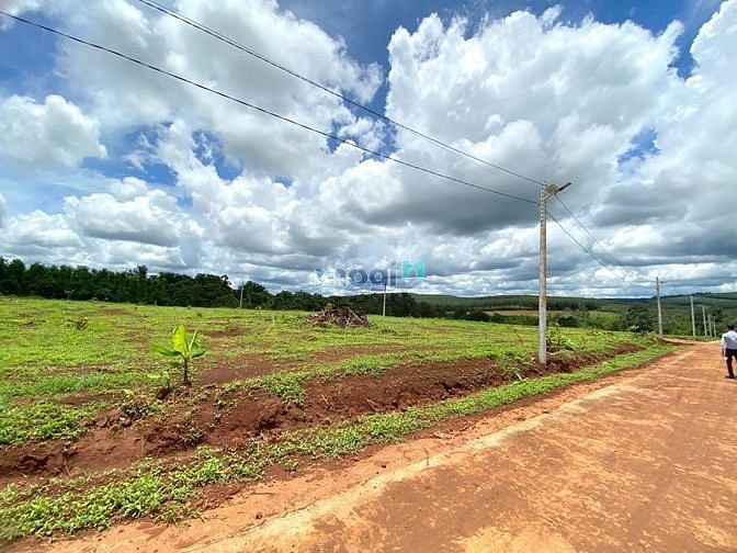Hình ảnh Bán đất thổ cư dt300 sổ hồng đường bê tông 12m
