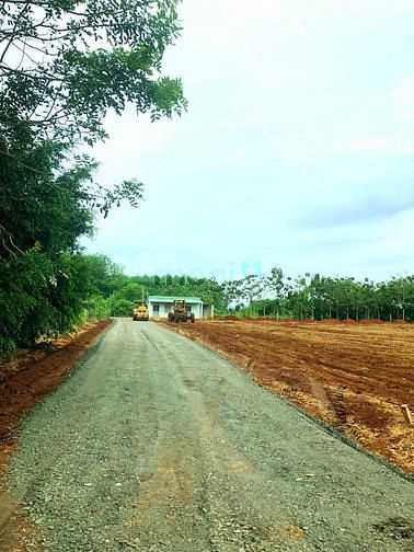 Hình ảnh Đất nền giá rẻ nhất thị trường Lộc Ninh Bình Phước