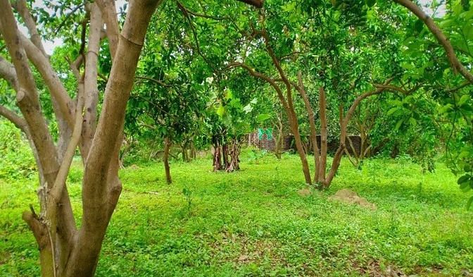 Hình ảnh Đất vườn gần sân bay Long Thành, 1088m2, Chỉ 2.7 tỷ