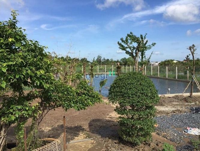 Hình ảnh Đất vườn gần sân bay Long Thành, 1088m2, Chỉ 2.7 tỷ