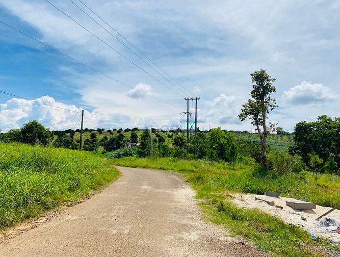 Hình ảnh Đất vườn gần sân bay Long Thành, 1088m2, Chỉ 2.7 tỷ